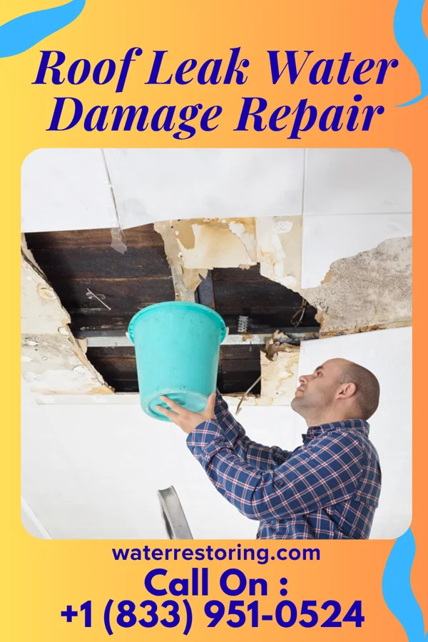 Roof Leak Water Damage Repair in Ashton, SD